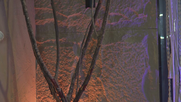 Miawiithe's Streamate show and profile