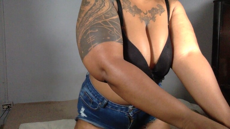 Medussa27's Streamate show and profile